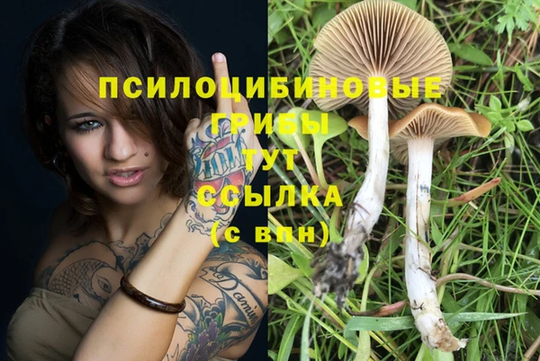 амфетамин Абинск